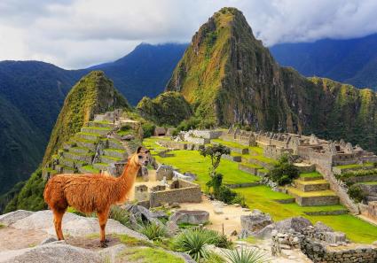 Machu Picchu mit Lam_25_1.jpg